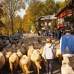 Jaworczanski Raj Pod Wysoka - Z Sauna Przy Wyciagu